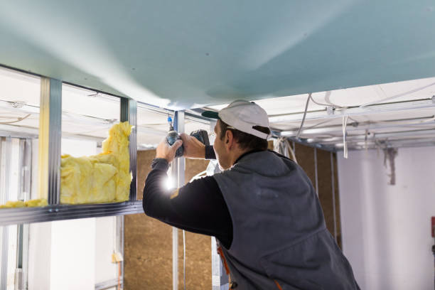 Best Insulation for Specific Applications in Rapid City, MI
