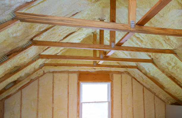 Best Geographic-Specific Insulation Services in Rapid City, MI