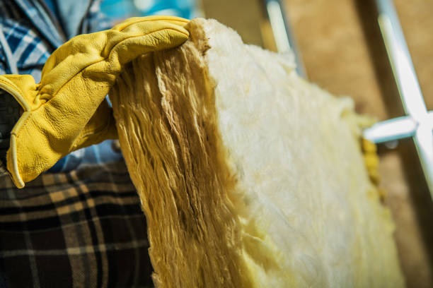 Best Residential Insulation in Rapid City, MI