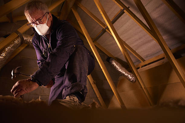 Types of Insulation We Offer in Rapid City, MI